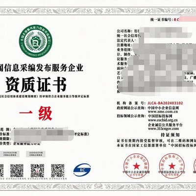 2024年互聯網新聞信息服務企業資質（一級）與信息技術咨詢服務 行業標準、價值與戰略協同